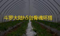 斗罗大陆h5剑骨魂环搭配攻略